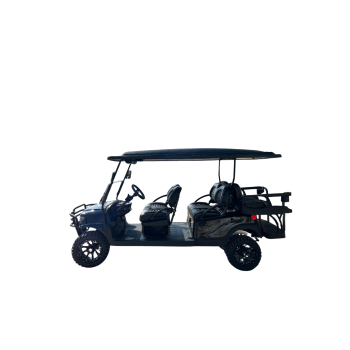 Luxury 6 Seater Golf Carts